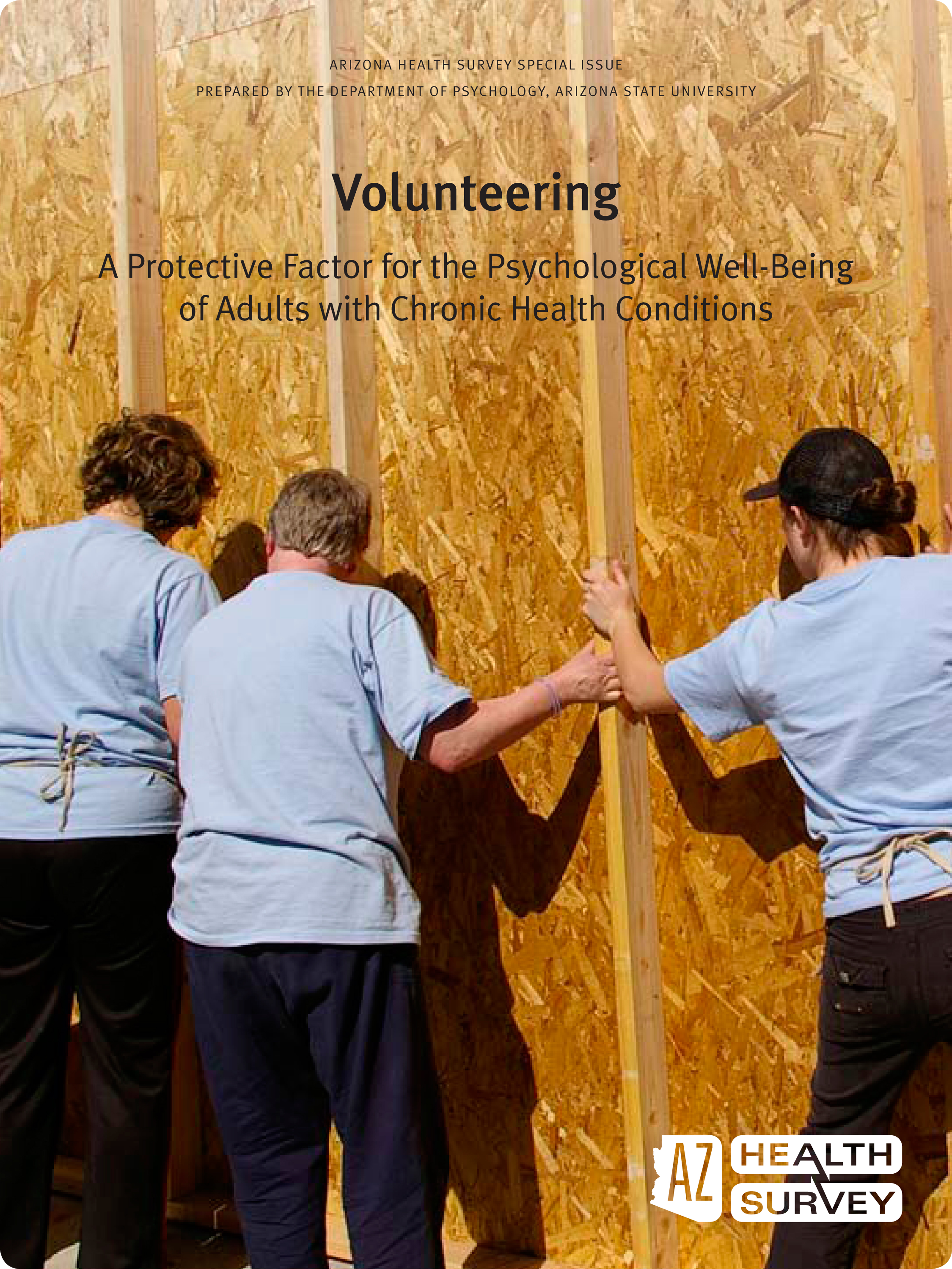 Volunteering-Jun10