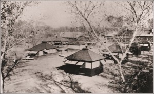 atwoood-tuberculosis-tents